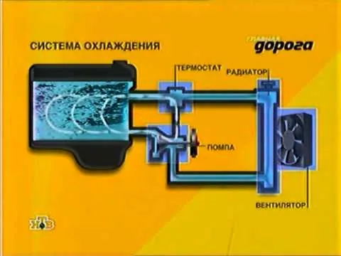 Видео на YouTube