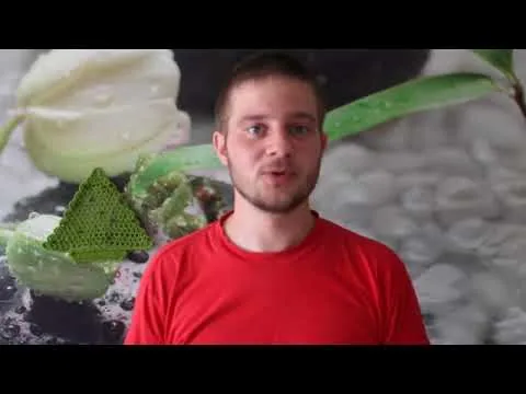 Видео на YouTube