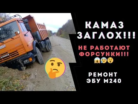 Видео на YouTube