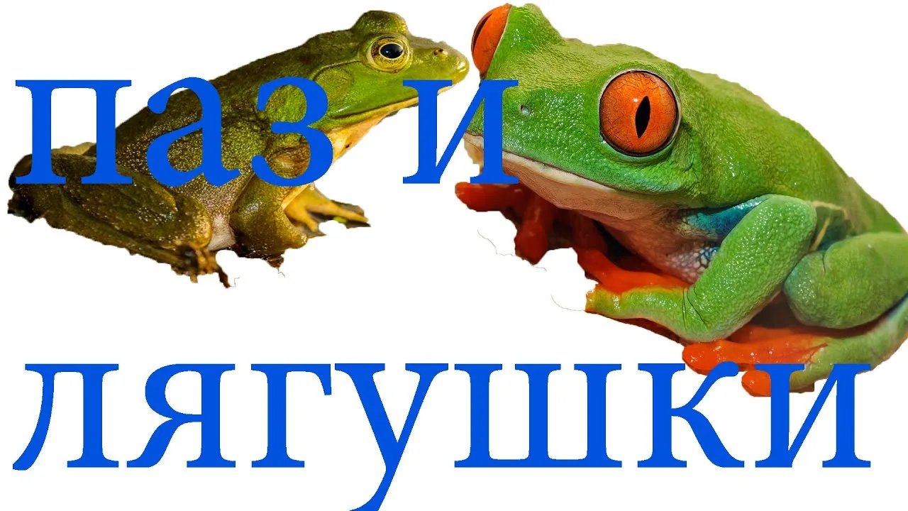 Видео на YouTube