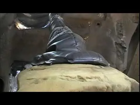 Видео на YouTube