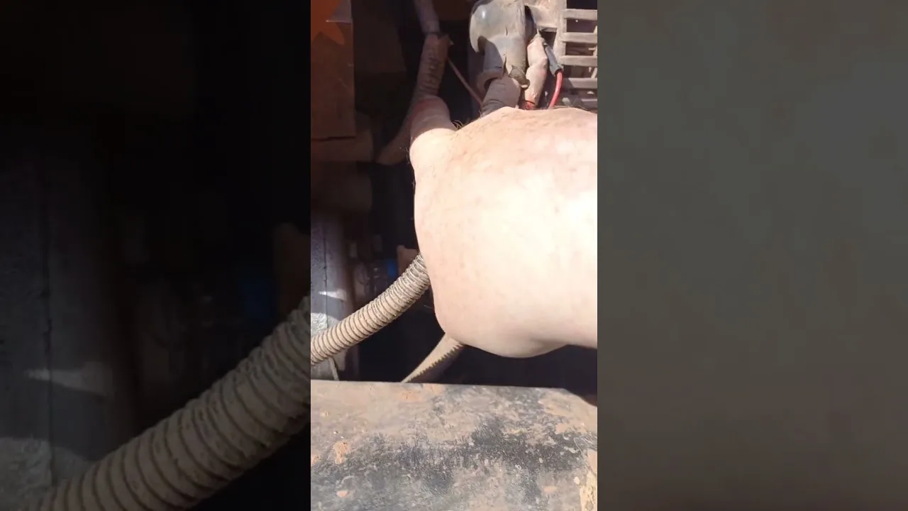 Видео на YouTube