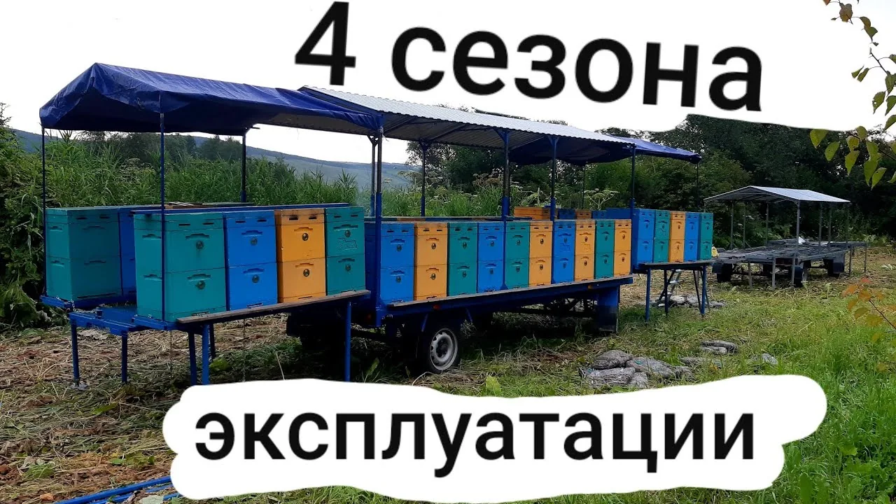 Видео на YouTube