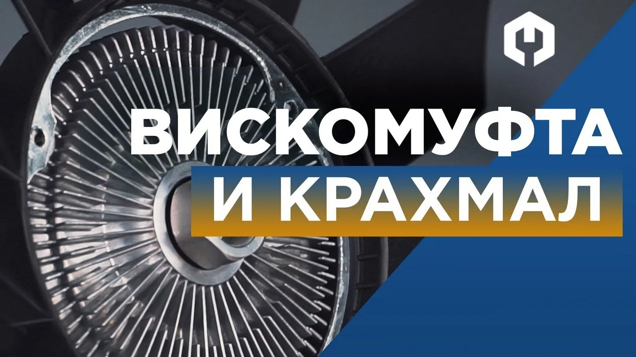 Видео на YouTube
