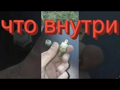 Видео на YouTube